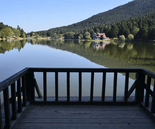 Bolu